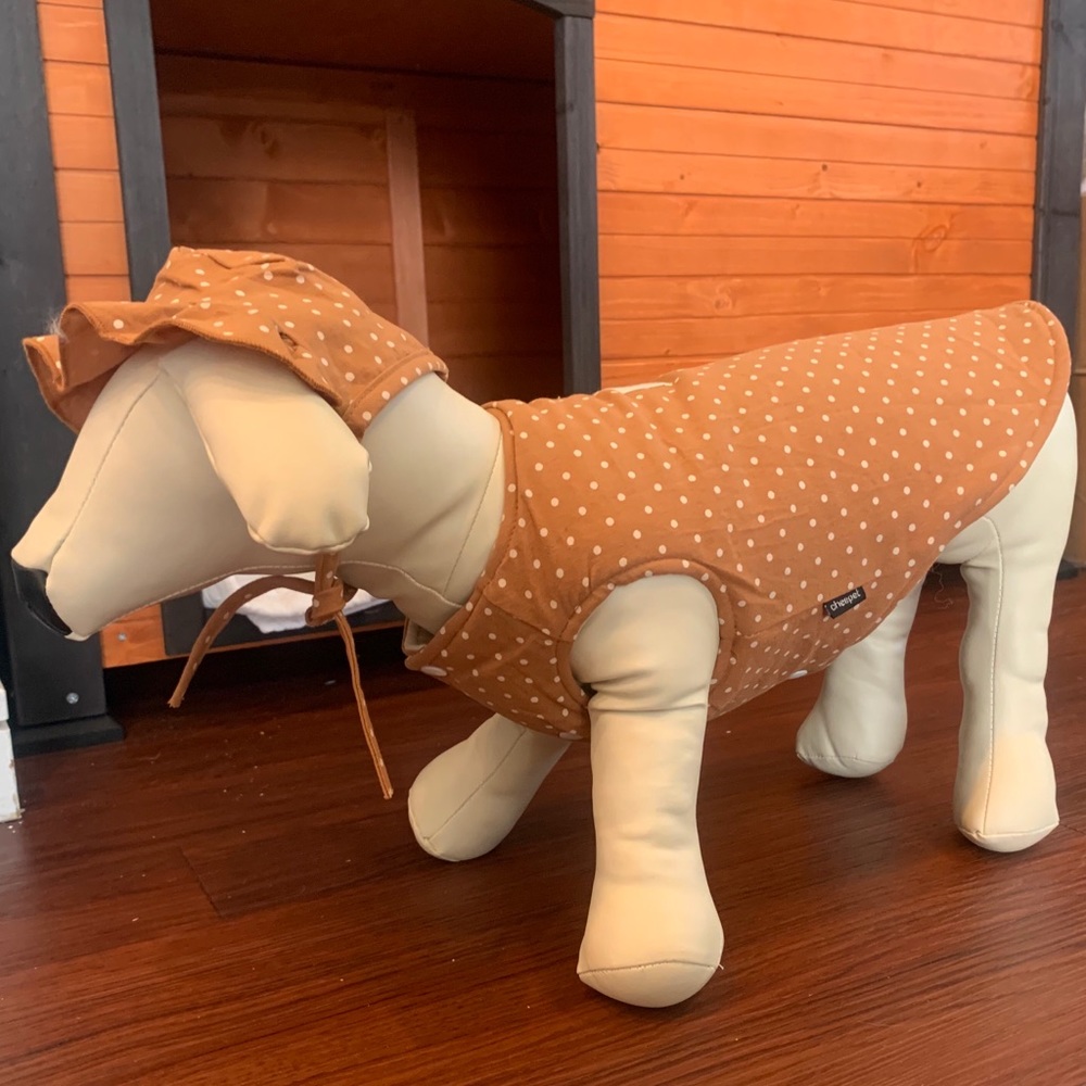 Dog clothes